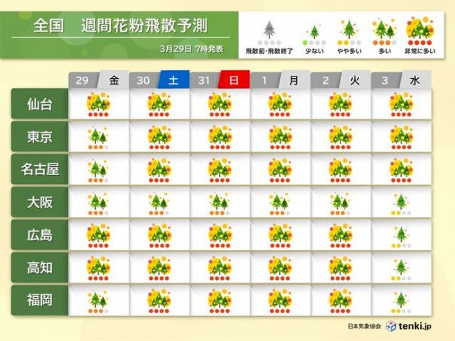 花粉情報　飛散のピーク続く　31日にかけて黄砂も　本格的な飛散はいつまで?