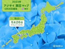 松山でアジサイ(真の花)が開花　今年全国で初めて