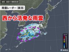 関東甲信で梅雨入り　梅雨入り早々に警報級の大雨恐れ　九州〜東海は非常に激しい雨