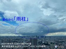 関東の所々に雨雲や雷雲　東京都心から雨柱も　今夜遅くにかけて急な激しい雨に注意