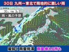 あす九州〜東北は局地的に激しい雨・異例の猛暑　台風11号　31日〜2日沖縄に接近