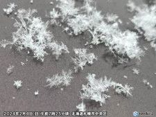 「立春」の札幌　雪の結晶をパシャリ　雪の結晶は天から送られた手紙
