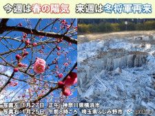 関東地方　今週は4月下旬並みの陽気の所も　来週は一転真冬の寒さ
