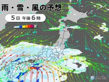今日5日　西日本は雷雨や激しい雨に注意　東日本も昼頃から雨や雪　真冬並みの寒さも