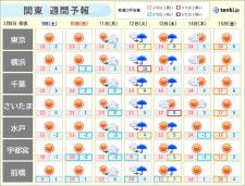 関東週間　スギ花粉の飛散ピーク　多く飛ぶ時間は?　15日(金)は春本番の陽気に
