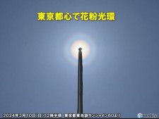 東京都心で「花粉光環」　大量飛散サイン　広くスギ花粉ピーク　あとどれくらい飛ぶ?