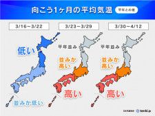 2月22日は 猫の日 今 奄美群島がネコを巡ってゆれています Tenki Jp Goo ニュース