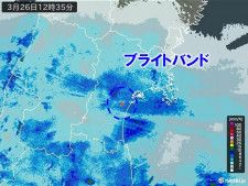 仙台に「ブライトバンド」が出現　冷たい雨から雪に変わる　厳しい寒さ