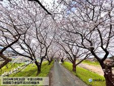 春らんまんの陽気で桜の便りが続々と　九州・沖縄は夏日も　5日・6日がお花見日和