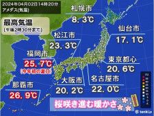 桜満開の福岡は今年初の夏日　都心など関東以西で20℃超　明日3日〜4日は桜に雨