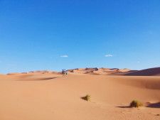 フランスにも黄砂？フランスの空を舞うサハラ砂漠の砂塵