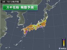 7-1280-01 プロシェア非再呼吸マスク 大人用 10個 KM-260 【AXEL