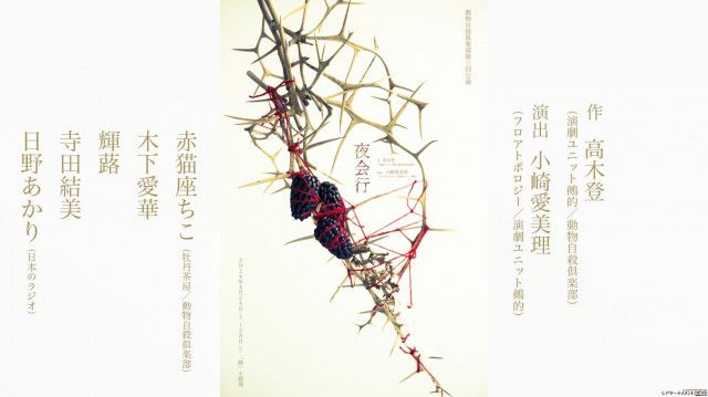 動物自殺倶楽部『夜会行』4月24日 開幕