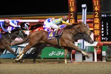 デルマソトガケは日本馬の中でも豊富な海外経験を持つ。世界最高賞金レースに臨む今回も期待が膨らむ。写真：産経新聞社
