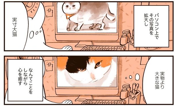 【漫画】「猫に会えない日々」猫のイラストで部屋がストーカーのように？／うちの猫は仲が悪い(13)