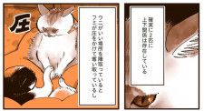 【漫画】「猫の上下関係」不仲猫同士の日常風景は権力闘争!?／うちの猫は仲が悪い(12)