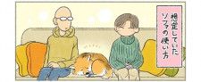 【漫画】愛犬と仲睦まじくソファーを使うはずが…飼い主の理想と現実に共感の声多数「まんま家です」