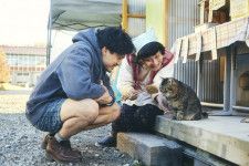 街の住民のネタに困り、飼い猫トラの生活を観察する半助
