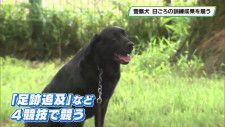 「足跡追及」など４競技で警察犬の能力競う
