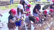 米づくり学ぶ　宇都宮市で小学生が田植え体験