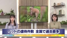 ペットの虐待件数　全国で過去最多　栃木県内は