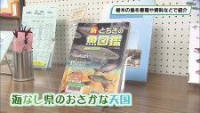 栃木県立図書館で「海なし県のおさかな天国」　栃木の魚の魅力を学ぶ