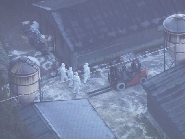 高病原性鳥インフルエンザを確認…岐阜県山県市の養鶏場でニワトリ5万羽の殺処分開始 2千人態勢で