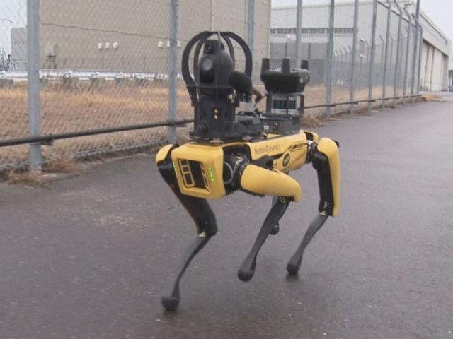 不審者を認識し警告…中部空港に警備用の『AI搭載ロボット犬』導入に向け実証実験 労働環境の改善に期待
