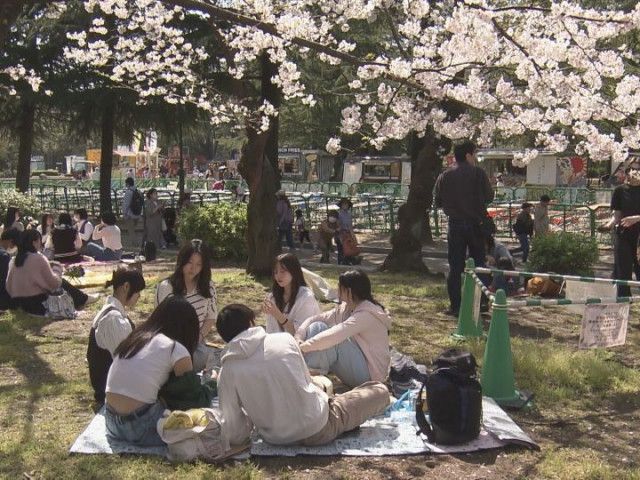 桜の開花進む見込み…1日の東海3県は朝から高気圧に覆われて広く晴れる 最高気温は名古屋で22度の予想