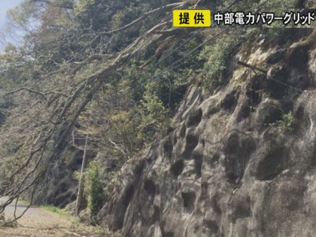 JRにダイヤの乱れも…三重県津市で斜面の木が根元から倒れ電線切れる 最大で約1840戸が一時停電