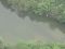 池に逃げ込みその後沈む…愛知県森林公園で男女2人を襲ったとみられるイノシシ発見 引き揚げて確認進める