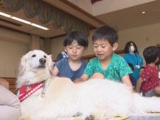 こども園で動物愛護教室 認定を受けた“訪問活動犬”5頭が年長組の園児たちと触れ合う 愛知・豊田市