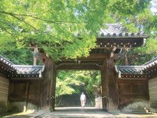 長寿・厄除けを願う菊の節句。京都・法輪寺で「重陽の節会」9月9日（土）開催