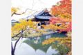 写真家の作品やアート展示も。京都・高台寺 「秋の特別展・夜間特別拝観」12月10日（日）まで