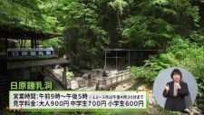 東京の西の端、緑深い山間に異世界への入口…  奥多摩の豊かな自然が作り出した『日原鍾乳洞』