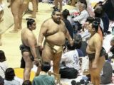 【大相撲】高安「妻が大好きです」 地元・茨城での巡業で猛ハッスル