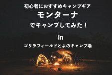 大阪でキャンプにおすすめな「ゴリラフィールドとよのキャンプ場」とおすすめキャンプギア紹介！
