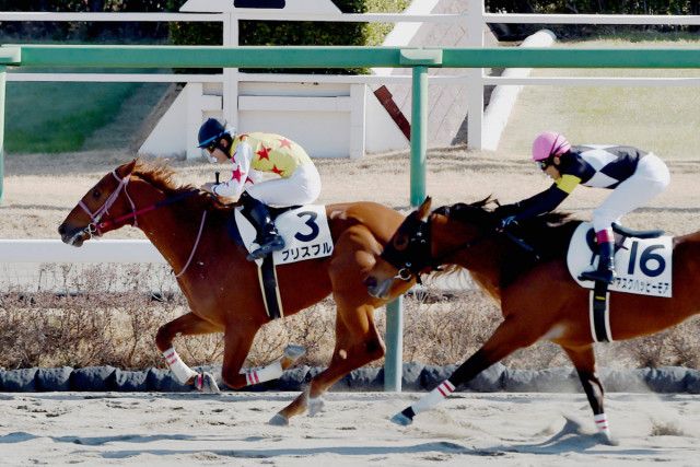 新品未開封 エスポワールシチー 競馬 競走馬 ジャージ ブルゾン