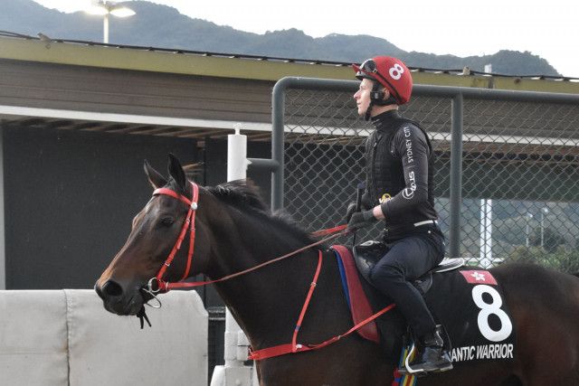 香港中距離最強馬ロマンチックウォリアーが安田記念参戦プラン明かす　シャム調教師「日本でレースができることを願っています」