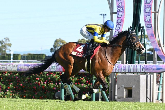 【香港チャンピオンズデー】日本馬は８頭選出！プログノーシスは〝香港最強〟ロマンチックウォリアーとクイーンエリザベス２世Ｃで激突