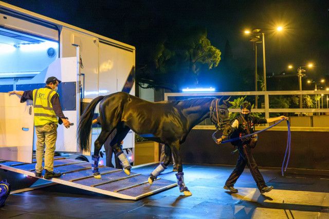 香港チャンピオンズデー出走の関東馬が現地到着　ヒシイグアス・高橋助手「馬房内でも落ち着いていました」