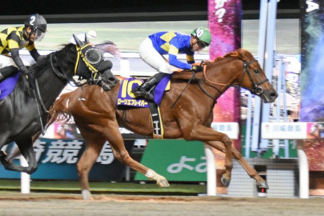 【川崎競馬・ロジータ記念】８番人気のローリエフレイバーが追い比べ制す 野畑凌「すごくうれしいです」(東スポ競馬) - goo ニュース