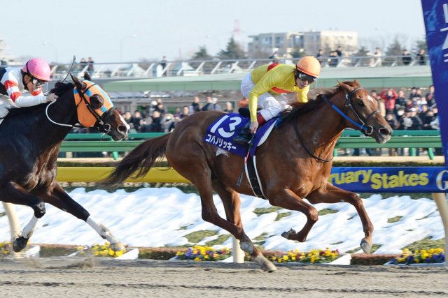 フェブラリーS】騎乗予定馬が直前で引退 単勝272・1倍の大