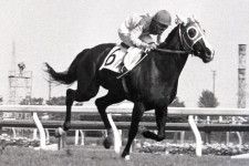 歴史的名牝テスコガビー（１９７５年オークス）