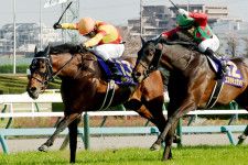 【日本ダービー登録馬】皐月賞馬ジャスティンミラノの「１強ムード」　２冠阻止へ多士済々の素質馬が集結