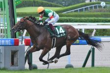 ２２年の中京記念勝ち馬ベレヌスが引退　タートルボウル産駒　石川県珠洲市の珠洲ホースパークで乗馬に転身