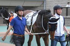東京競馬場のパドックで出走馬を引く松山調教師（右）と池上調教師
