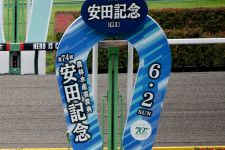 【安田記念】武豊ナミュール猛追もわずかに届かず２着　牝馬の「連続連対記録」は継続