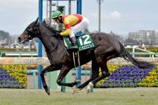 25年の新種牡馬たち】17年2歳王者のダノンプレミアム 産駒には父
