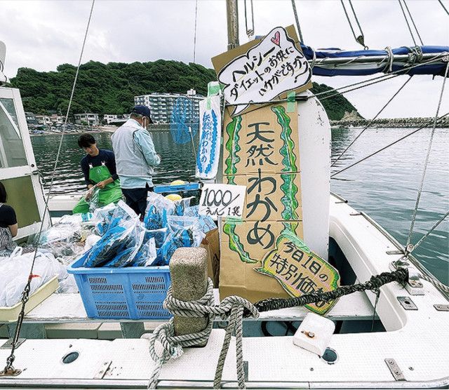 逗子の小坪漁港で６月４日 、アオリイカなど旬の魚介類が購入できる船上市場を開催〈逗子市・葉山町〉